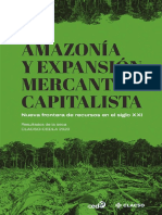 Amazonía en disputa: expansión capitalista y transformaciones territoriales