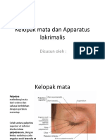 Kelopak Mata Dan Apparatus Lakrimalis