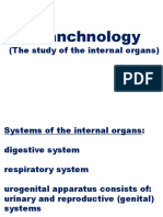 10 Lecture10Introduction To Splanchnology General Plan of The Structure