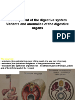 Lecture11Development and Anomalies of Digestive System.-1