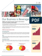 FEMSA at A Glance 2009