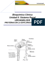 Introducci+ N-Examen de Orina-Proteinas en Exploracion Renal