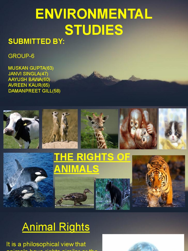 Environmental Studies: Submitted by | Download Free PDF | Climate ...