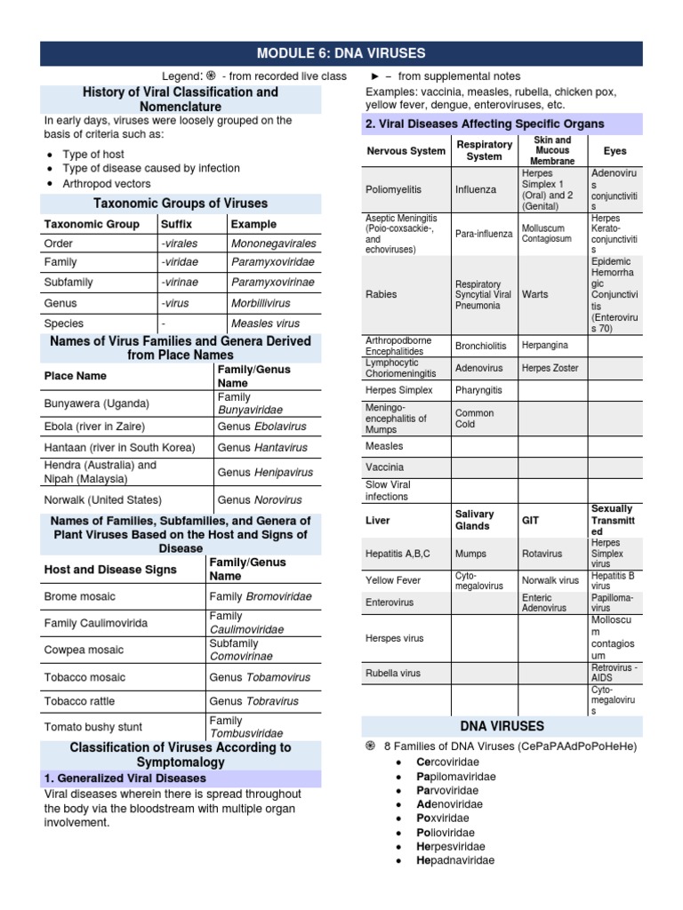 Overview of DNA Viruses and Diseases | PDF | Herpes Simplex | Hepatitis B