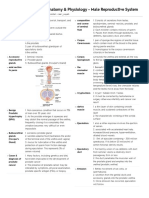 Human Anatomy & Physiology - Male Reproductive System