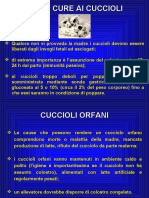 Prime Cure Ai Cuccioli