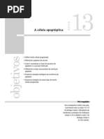 CEDERJ-Biologia_Celular_II_-_Aula_(13)[1]