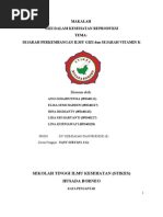 Download kelompok-9-vitamin-k by Nana Emon SN53118591 doc pdf