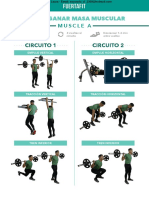PDF Fuertafit - Muscle A