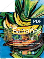 Bananes 8p A4 Pages