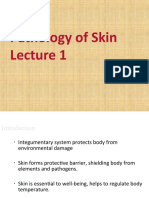 Skin Pathology IPMR Lecture 1-1