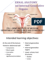 Maternal Anatomy External and Internal Generative Organs