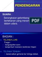 KLP 6 - Telinga - Keseimbangan - Pembau