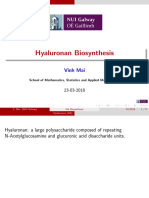 HA Biosynthesis