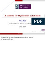 A Scheme For Hyaluronan Catabolism: Vinh Mai