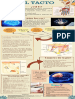 Infografia El Tacto