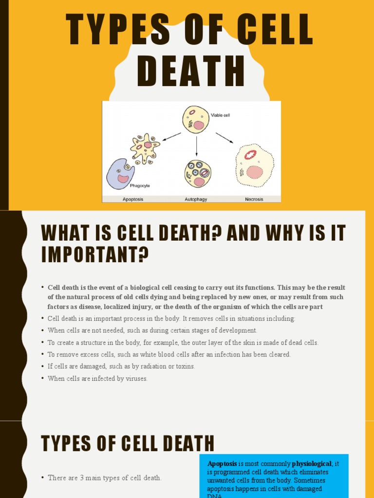 Types of Cell Death | PDF | Necrosis | Apoptosis
