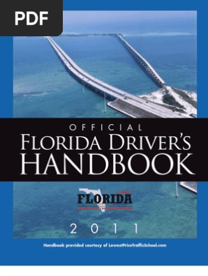 florida_driver_2011