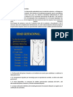 Embriogénesis y Desarrollo Fetal