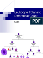 Leukocyte Total and Differential Count