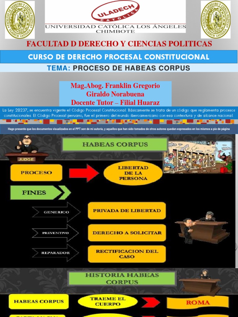 Tipos y Proceso de Habeas Corpus en Perú | PDF | Habeas corpus ...