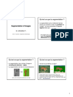 12.TSAC TNI Segmentation