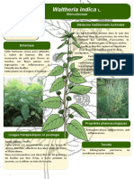38 Poster Formation Burkina Faso Waltheria Indica L JDM