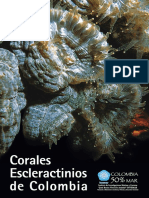 Corales Escleractinios Colombia