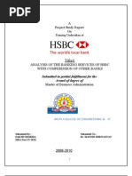 Download daksh HSBC_report_ by Sonam Borana SN53124890 doc pdf