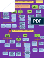 Mapa Conceptual