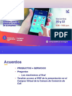 Memoria PDF Consejos Presencia Redes
