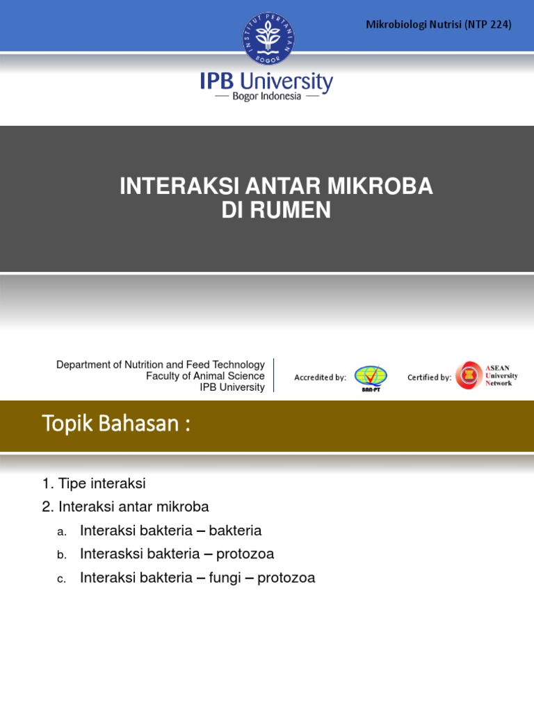 Interaksi Mikroba dalam Rumen | PDF