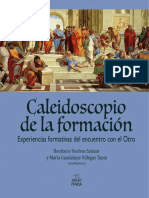 Caleidoscopio de La Formacion PDF