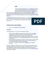 DNA to RNA: The Process of Transcription