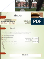 Fimozis Parafimozis