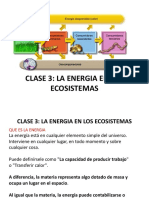 Clase 3 Estructura Trófica y Flujo de Energia