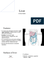 Liver: DR Kiran Shahid