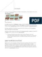 Epithelium: (Edit) Classification (Structural)