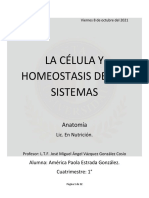 Ensayo Célula y Homeostasis de Los Sistemas