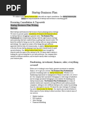 Startup Business Plan