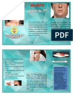 Leaflet Parotitis