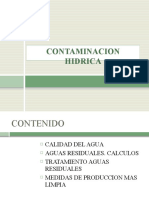 Contaminacion Hidrica