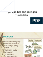 Tipe-Tipe Sel Dan Jaringan Tumbuhan