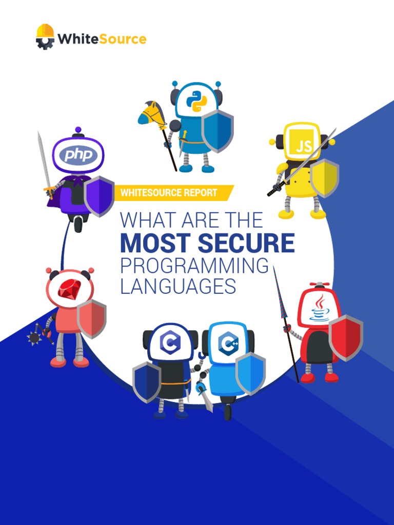 Most Secure Programming Languages Report | PDF | Vulnerability ...