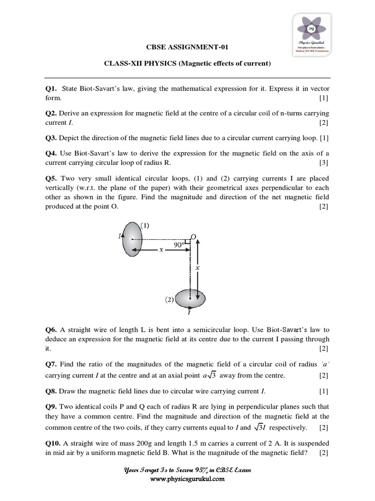 Cbse Assignment Phy CH 0401 | PDF | Magnetic Field | Euclidean Vector