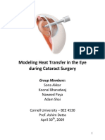 Modeling Heat Transfer in The Eye During Cataract Surgery