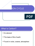 Carbon Cycle