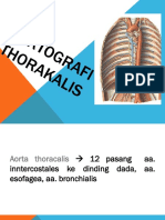 Aortografi Thoracalis