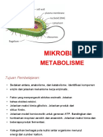 (Indo) Metabolism+Microbe