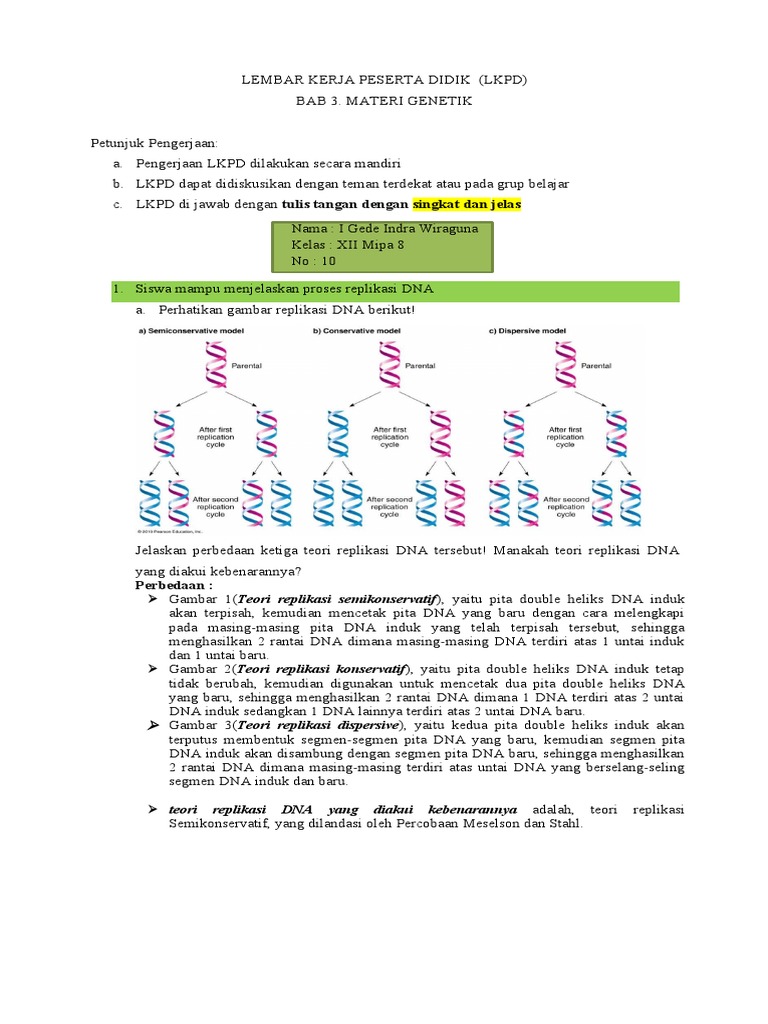 LKPD BAB 3. SINTESIS PROTEIN (I Gede Indra Wiraguna) (XII Mipa 8) | PDF